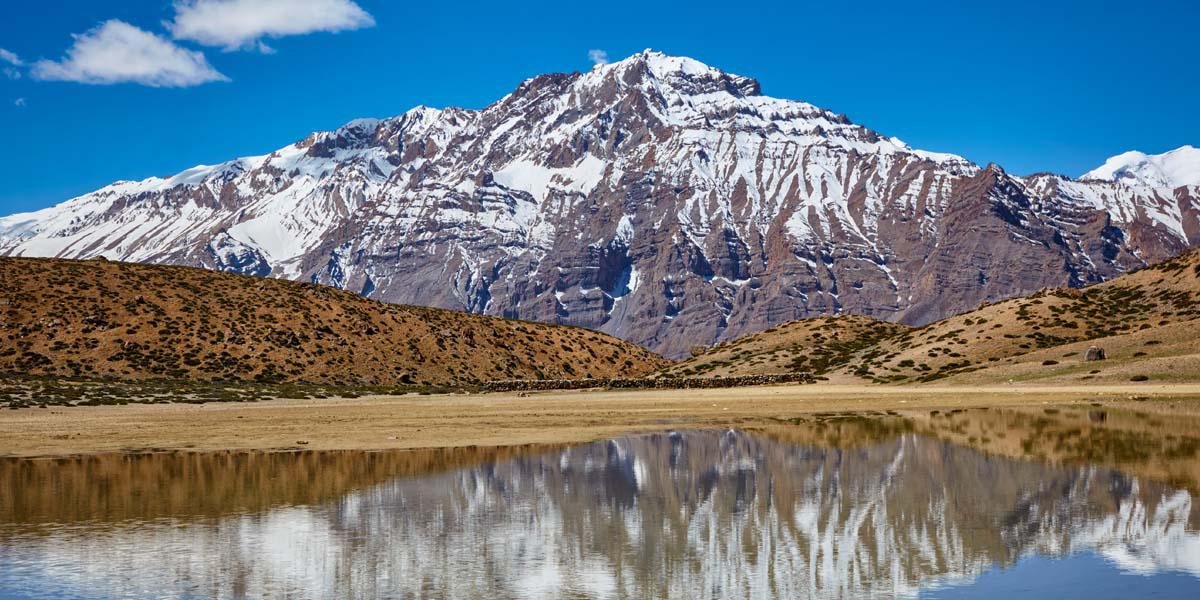 Book your tour & Just Leave